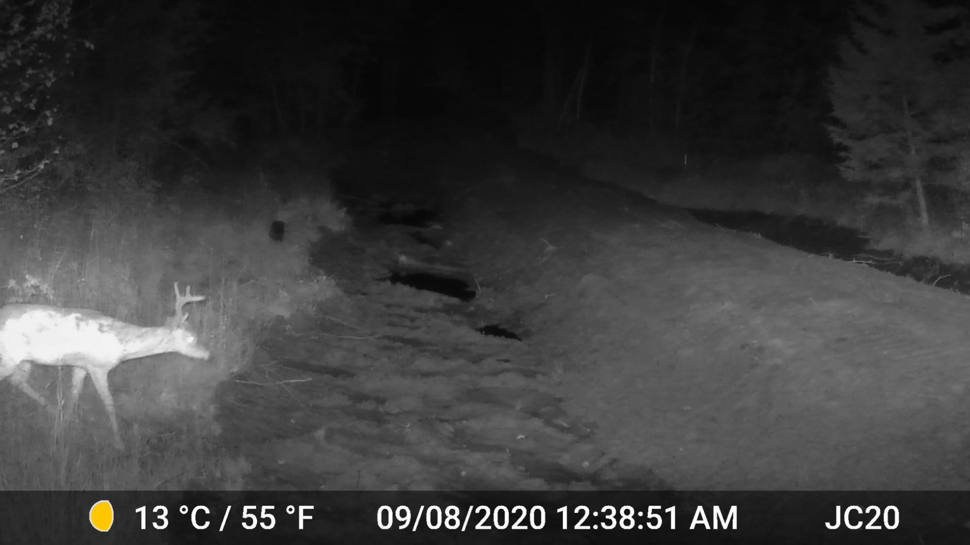 GardePro A3S 2-Pack Trail Camera, 64MP Photo & 1296P HD Video, 0.1s Trigger, 100ft No-Glow Night Vision customer photo 1