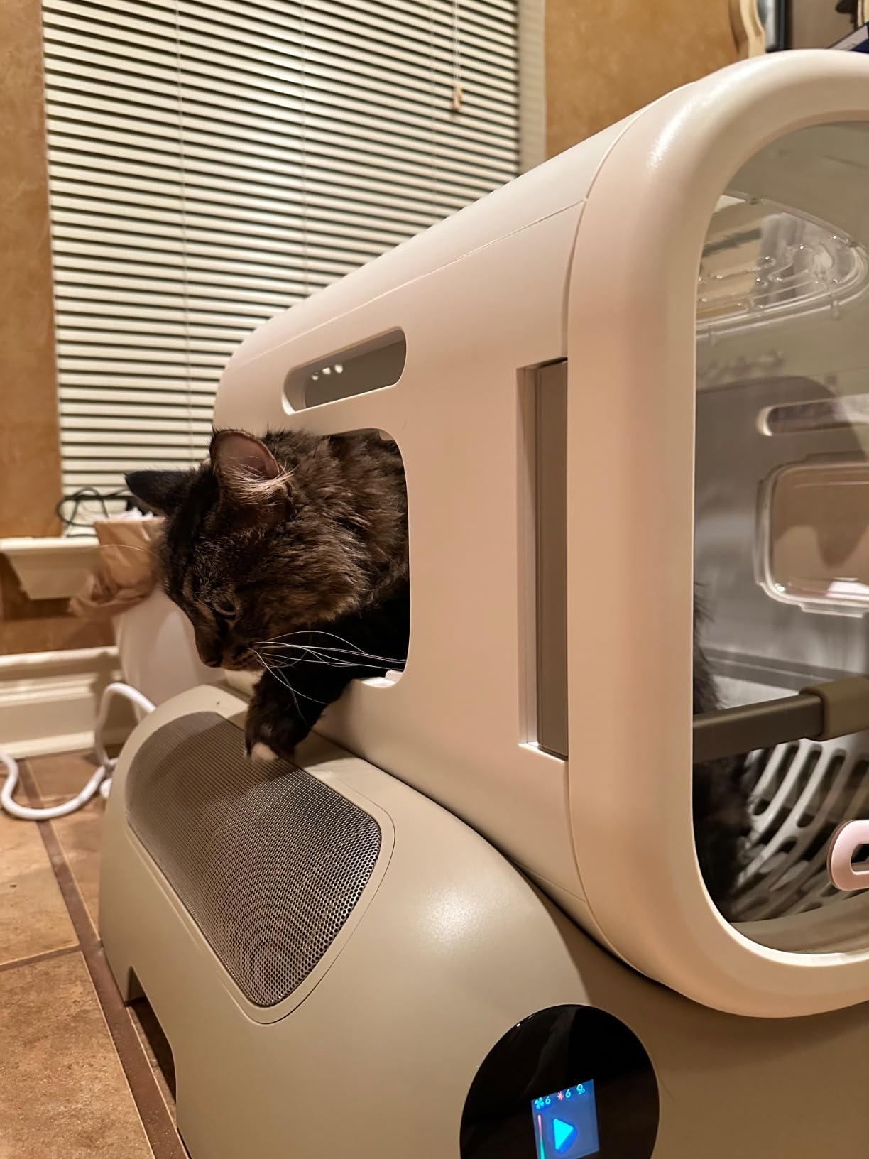 PetSnowy Pet Dryer Box - Safe Modular Design, 80L Large Space, Smart Temperature & App Control, 5 Sides Efficient Airflow, Ultra Quiet Cat and Dog Hair Dryer for Pet Grooming customer photo 2
