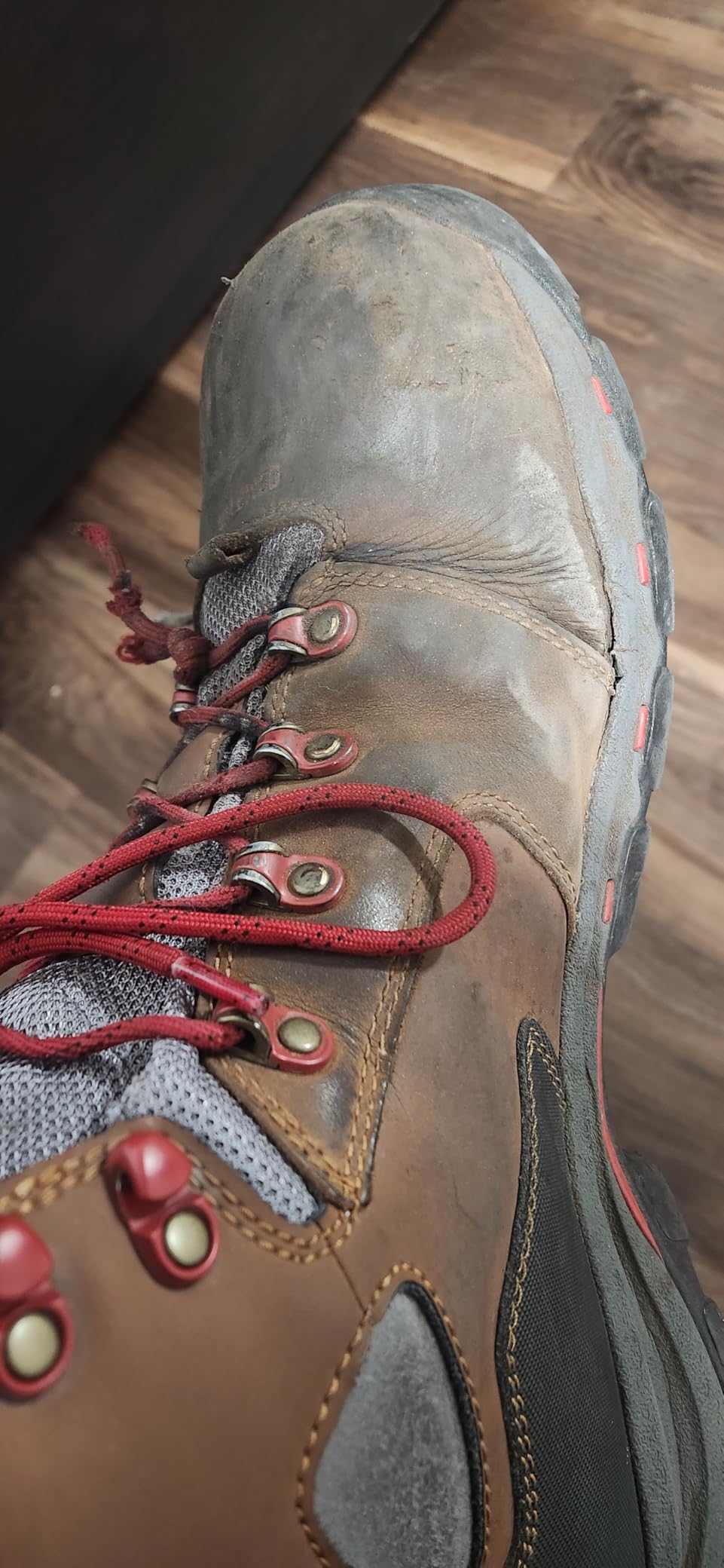 Danner Vicious 4.5
