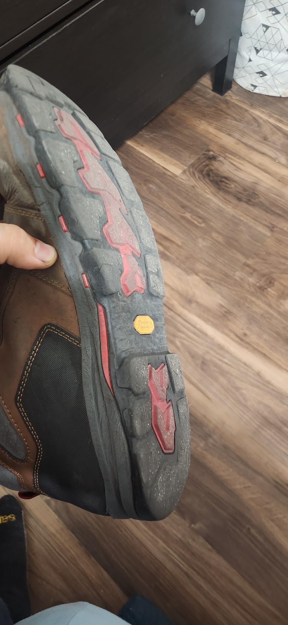Danner Vicious 4.5