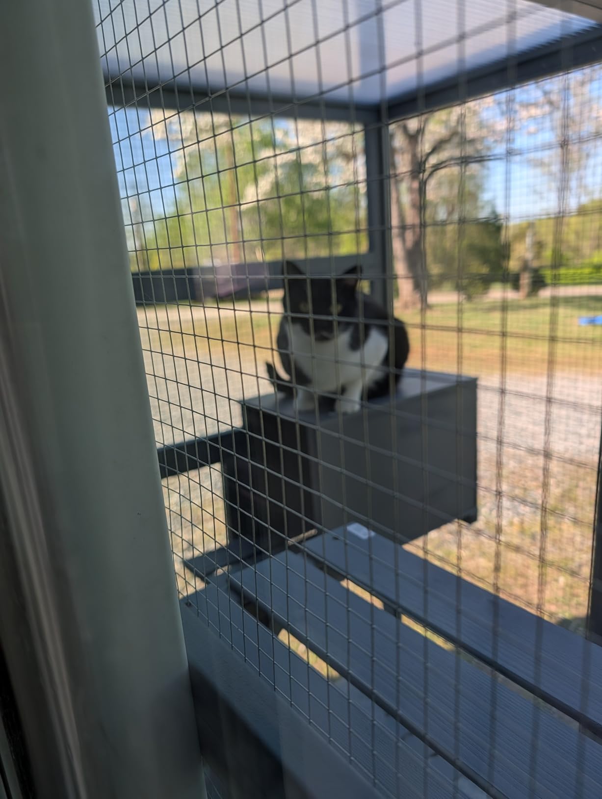 NYEEKOY 71Inches Large Wood Catio Outdoor Cat Enclosure with Perches and Condos, Cat House Indoor with Waterproof Roof, Cat Shelter 5 Platforms & 2 Resting Box, UV Resistant (Grey) customer photo 1
