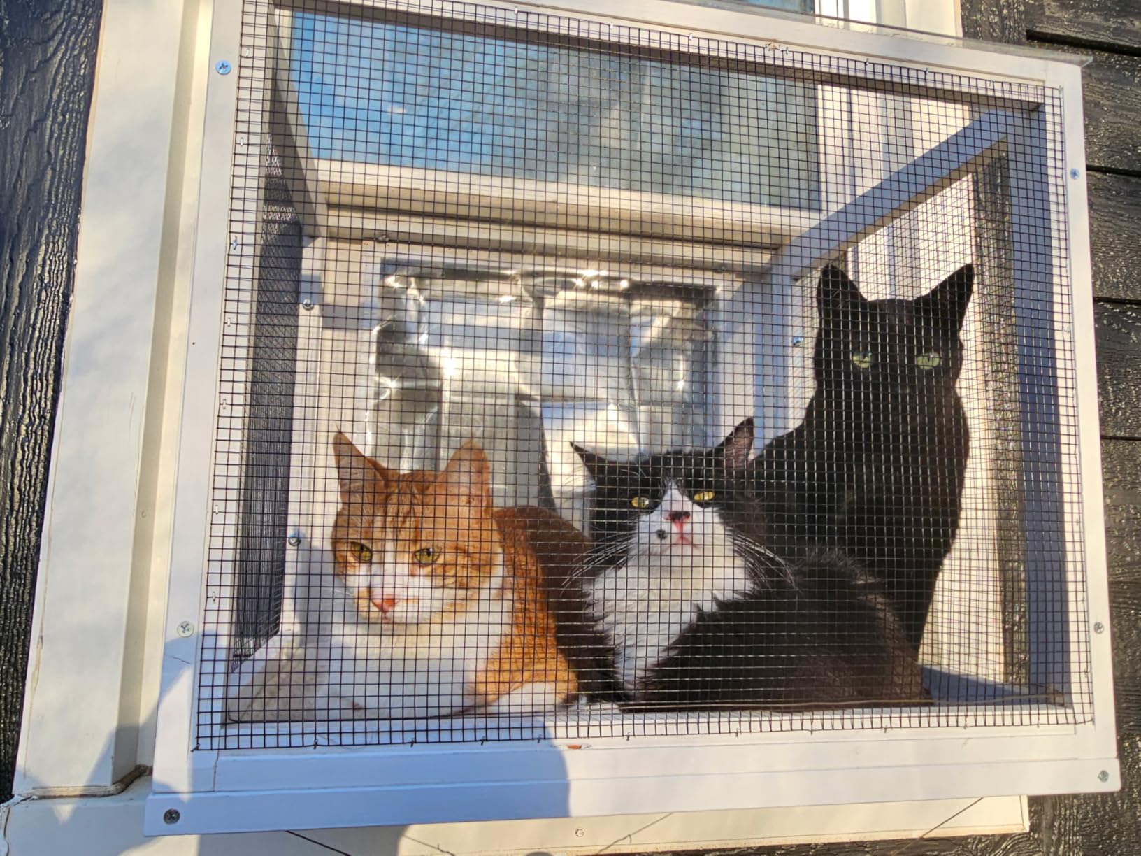 GDLF Cat Window Box, Universal Cat Window Perch Catio with Mosquito Proof, Fits Double Hung Frames 24