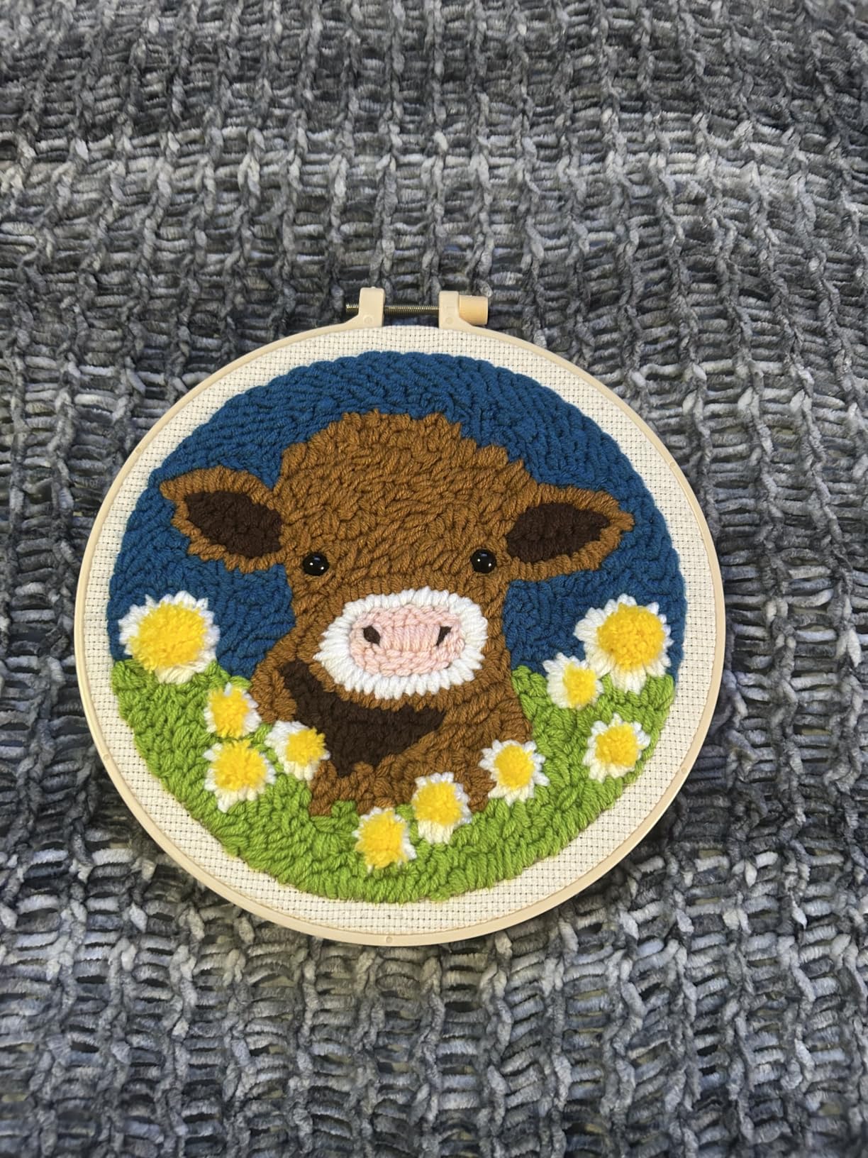 DIY Punch Needle Kits for Beginners Brown Horse with Hoop Embroidery Punch Needle Starter Craft Set Easy for Adults and Children Festival Gift and Decoration 20x20cm-2 customer photo 1