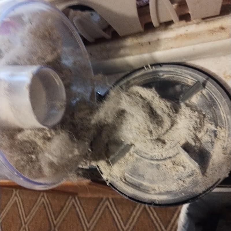 Bissell Pet Hair Eraser Allergen Lift-Off with Powerful Suction, HEPA, Tangle-Free Brush Roll, 39883 customer photo 2
