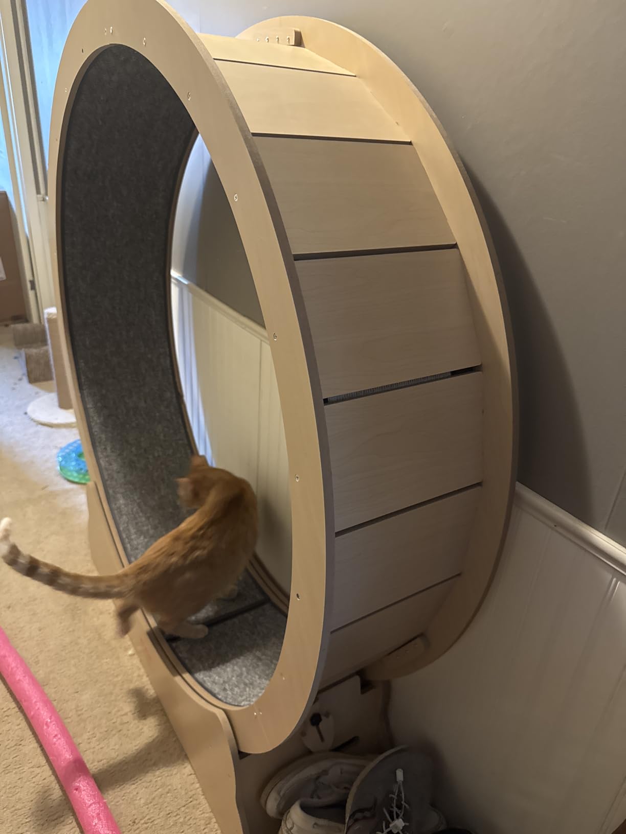 VEVOR Cat Exercise Wheel, 43.3