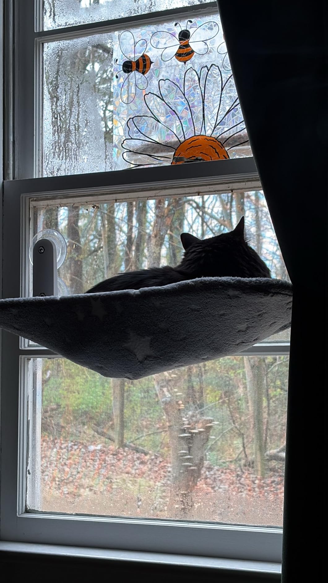 Zoratoo Cat Window Perch, Glow in The Dark Cordless Foldable Pet Hammock Bed for Window with Sturdy Metal Frame, Glowing Stars Pattern Resting Seat for Indoor Cats (Stars - M) customer photo 2