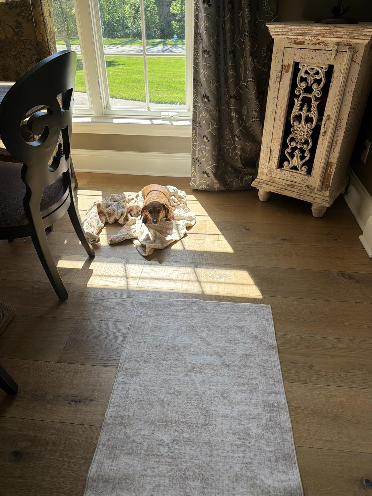 Rug Runners for Hallways Non Slip - 2x8 Runner Rug for Bedroom, Washable Runner with Rubber Backing, Soft Low-Pile Carpet for Kitchen, Laundry, Bathroom (2'x8', Beige/Ivory) customer photo 2