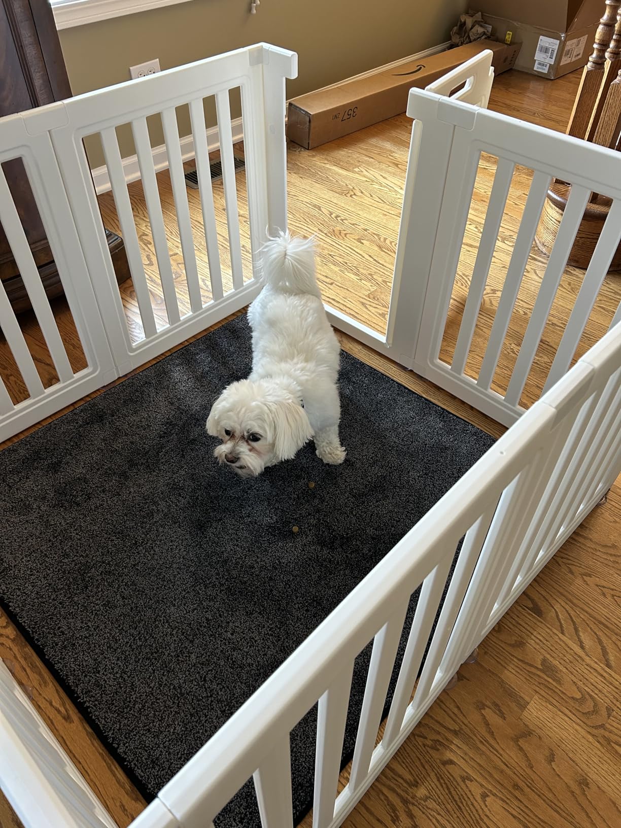 Dog Playpen, Clear Dog Pen, Dog Pen Indoor, Easy to Install and Remove Dog Play Pen, Puppy Playpen Suitable for Dogs, Cats,Dog Playpen Indoor (White, 23.6 inch Height, 10 Panels) customer photo 2