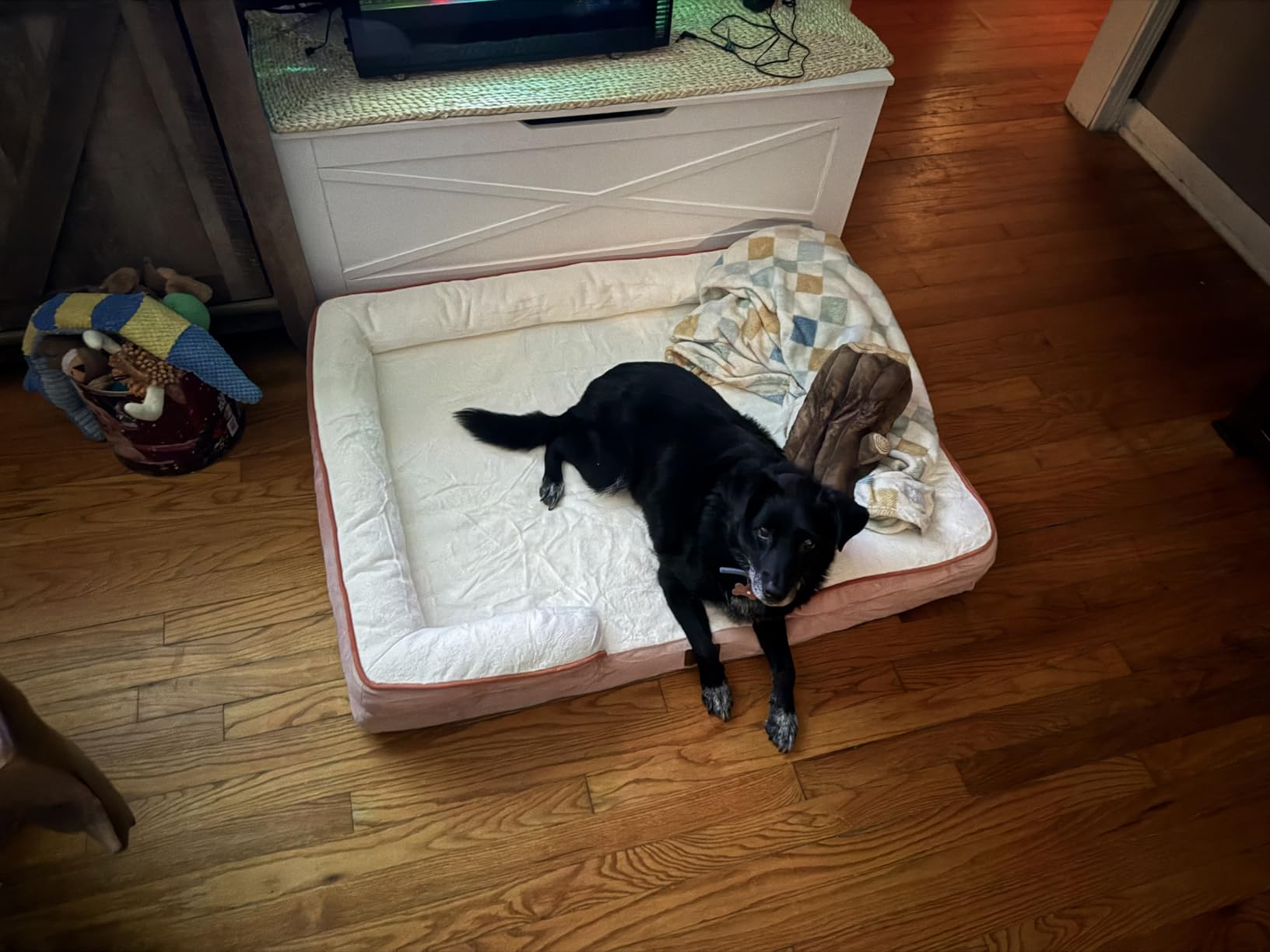 Bedsure Cooling Dog Beds Large Sized Dog - Orthopedic Large Dog Cooling Bed Washable, Dogs Couch Sofa with Waterproof Removable Cover, Pet Bed with Nonskid Bottom, Cooling Grey, 35