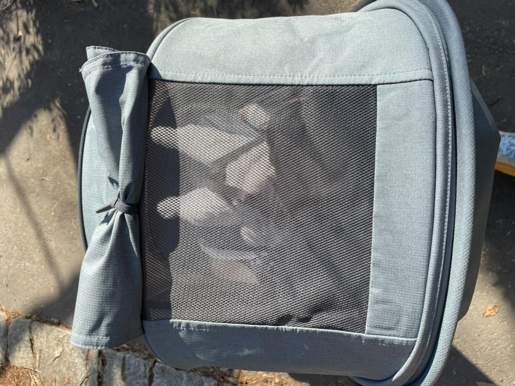 UPPAbaby Minu V3 Travel Stroller | Lightweight + Compact Design | One-Hand Fold + Unfold | from Birth + Overhead Compatible | Jake (Charcoal/Carbon Frame/Black Leather) customer photo 1