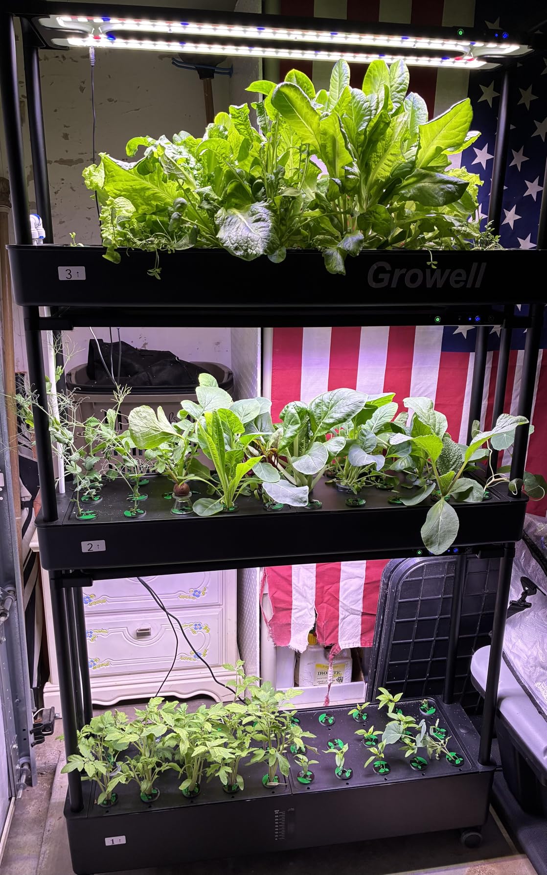 Growell Large Hydroponics Growing System Kit, 120 Pods Vertical Hydroponic Garden with 2 Light Modes Grow Light, Auto Circulating Water System, 48L Indoor Gardening System for Herb Vegetable Fruit customer photo 2