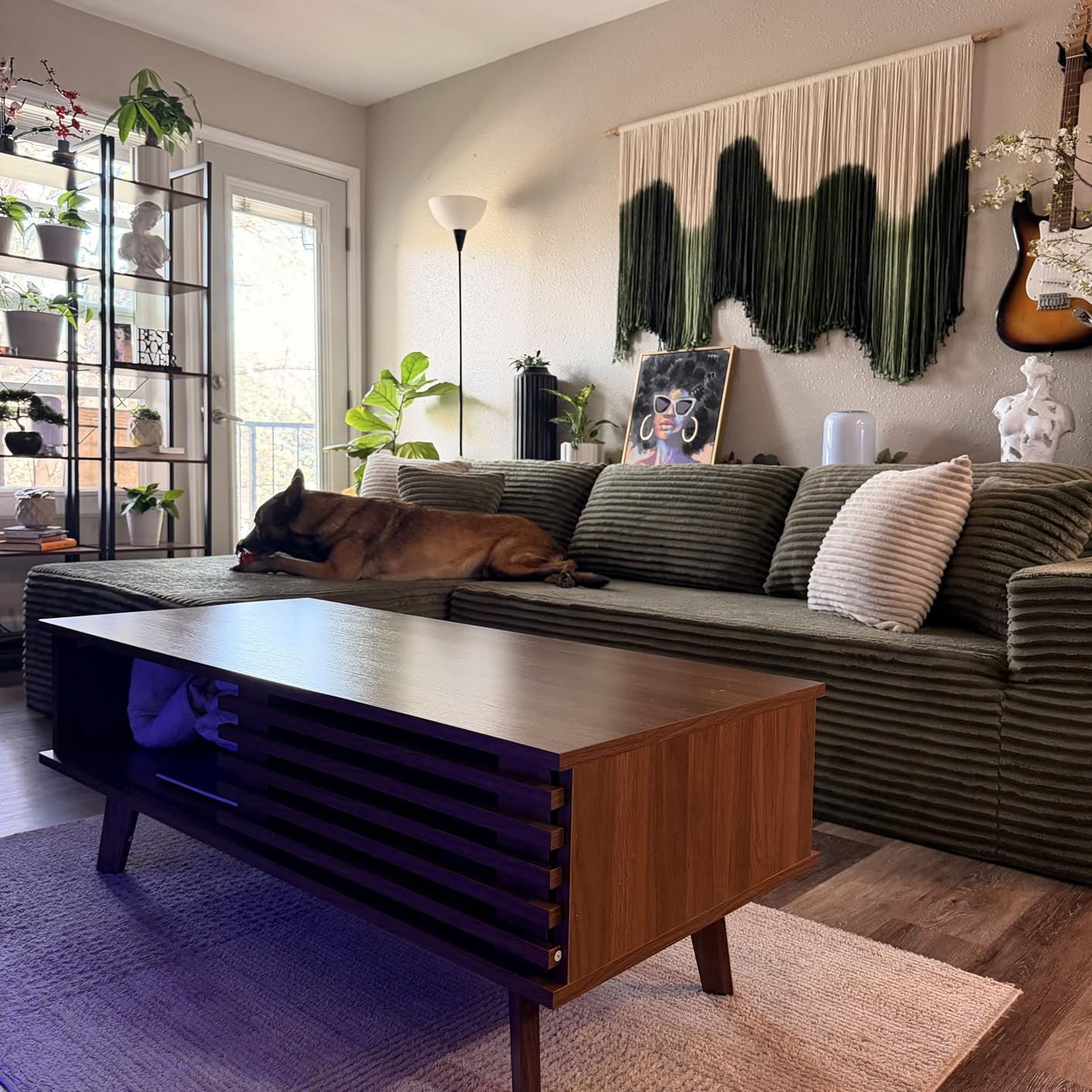 MAISONARIA Mid Century Coffee Table with Storage & Sliding Fence Door, Modern Coffee Tables for Living Room, Walnut Finish customer photo 2