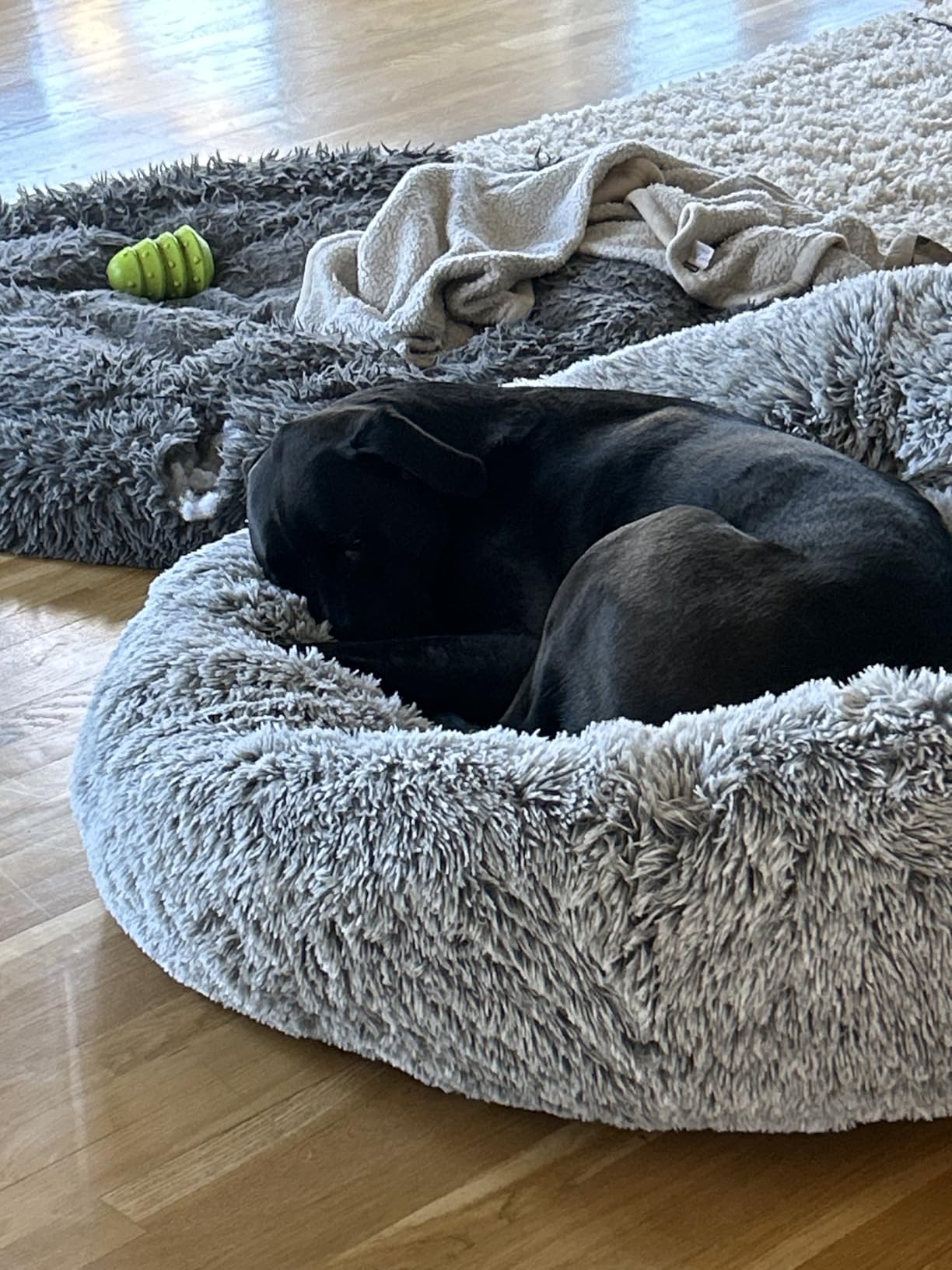 36 inches Donut Dog Bed for Large Dogs - Calming Fluffy Round Pet Bed with Removable & Washable Cover, Fits up to 80 lbs Pets (Dark Grey, Large) customer photo 1