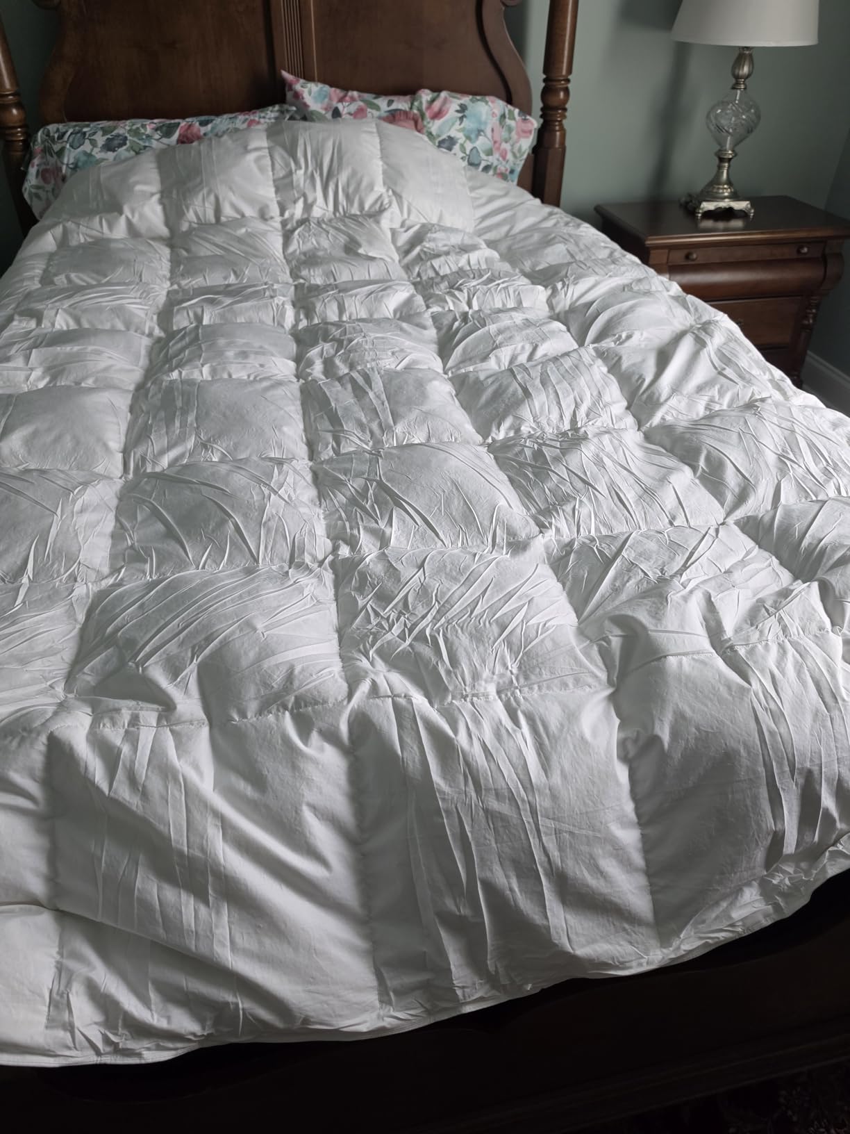 L LOVSOUL Goose Feather Down Fiber Comforter Queen Size, 100% Organic Cotton Fabric Duvet Insert, 1200TC, 750+ Fill Power, Hotel Collection, All Season White Bedding Comforters with 8 Tabs customer photo 2