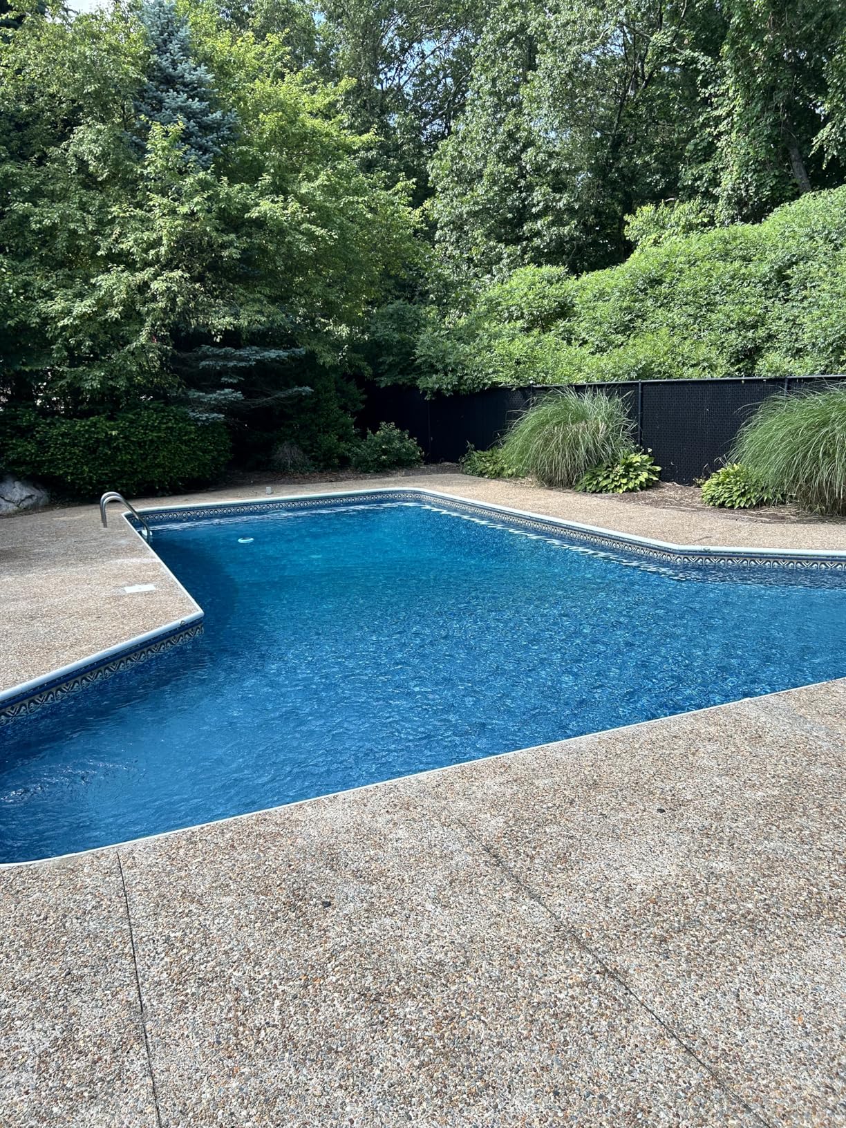 Original Solar Pool Ionizer | Pool Cleaner, use up to 85% Less Chlorine, for Pools up to 35,000 Gal, Lifetime Replacement Program customer photo 1