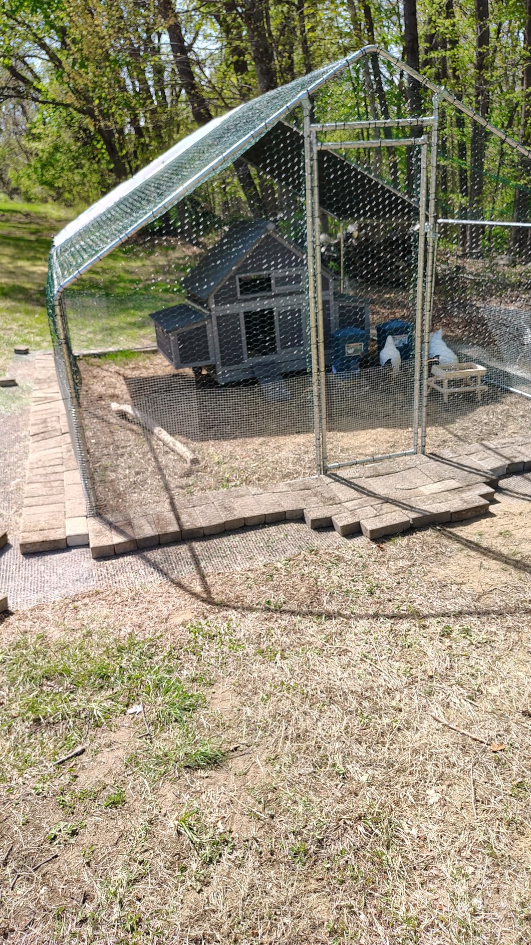 GUTINNEEN Large Chicken Coop on Wheels Mobile Wooden Hen House customer photo 2