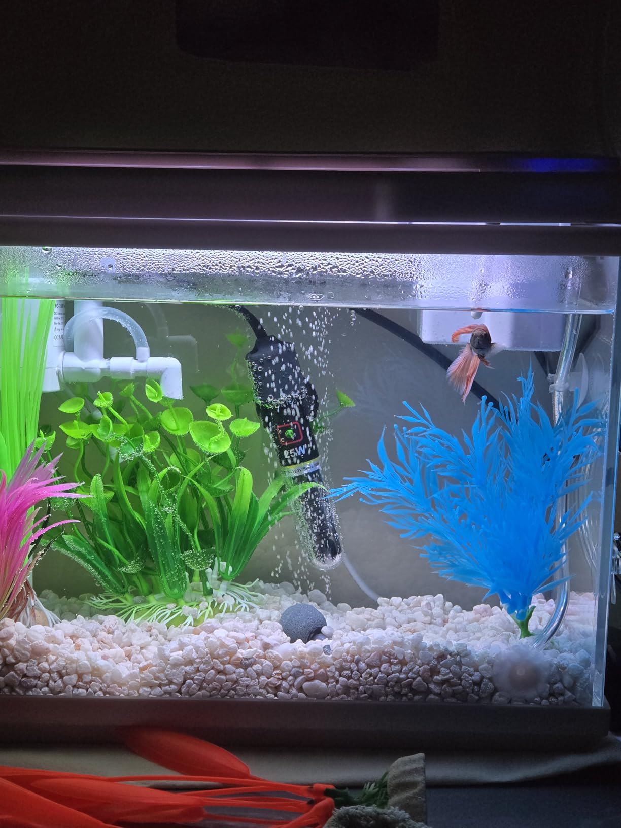 Vehipa Fish Tank, 2.4 Gallon Fish Aquarium, Fish Tank Starter kit with Smart Humidifier, Temperature Display, 7-Color Lighting customer photo 2