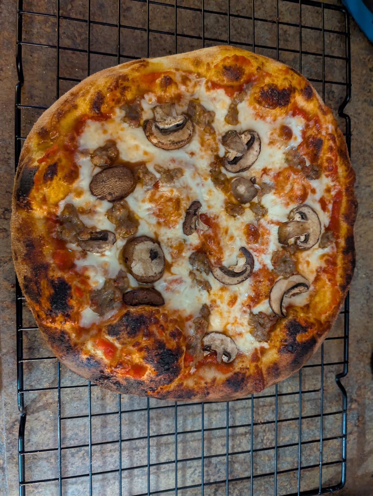 BIG HORN 14-Inch Indoor Pizza Oven, 850°F High-Heat Electric Countertop Pizza Oven for Restaurant-Style Artisan Pizza with Pizza Stone and Pizza Peel, PID Precision Temperature Control customer photo 1