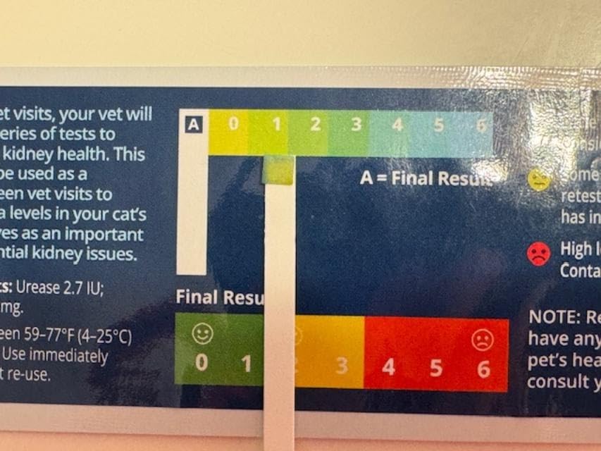 Petivity At-Home Kidney Health Test Kit for Cats - Quick Saliva Urea Test (2-Minute Home Check), Powered by Purina - (Pack of 1) customer photo 1