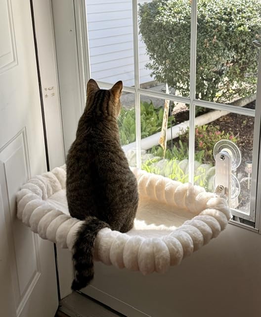 Zakkart SnugCloud Foldable Cat Window Perch - Cordless, Ultra Soft Machine Washable Bed with 4-Sided Bolster, Metal Frame - Window Hammock for Large Cats and Kittens (Cream White, Medium) customer photo 2