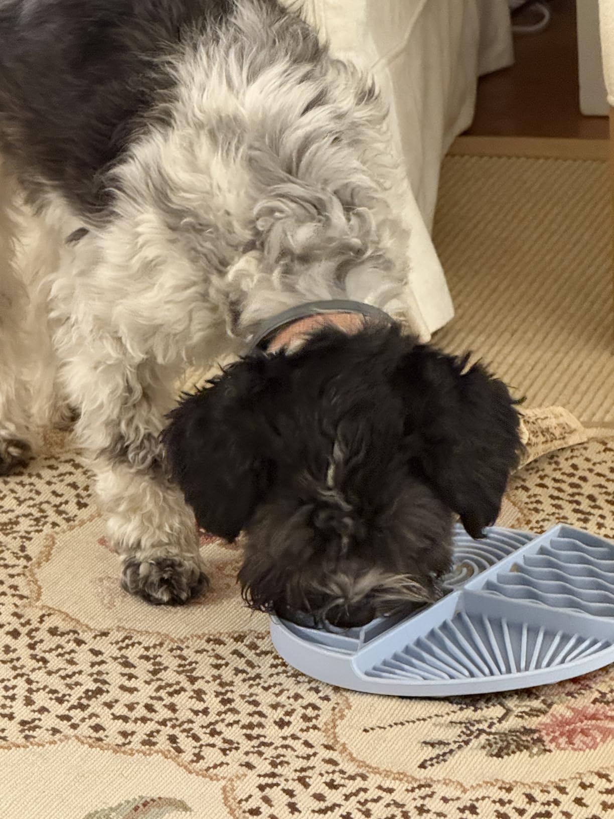 Awoo Paradise - Dog Lick Mat for Slow Feeding & Anxiety - Non-Slip Silicone Slow Feeder with Suction Cups - Dishwasher Safe Pet Dish for Grooming, Training, and Boredom Relief (Sage) customer photo 1