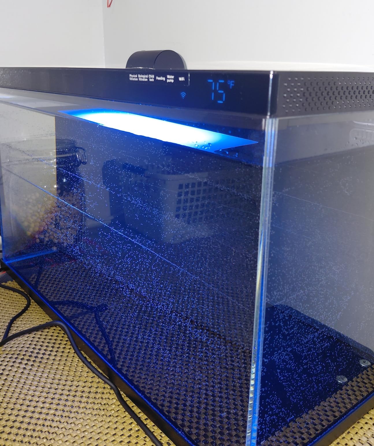 Wonderfactory Smart Aquarium 5 Gallon Glass Fish Tank, Self Cleaning System Efficiency Filter 7 Color LED Lights Automatic Feeder customer photo 1