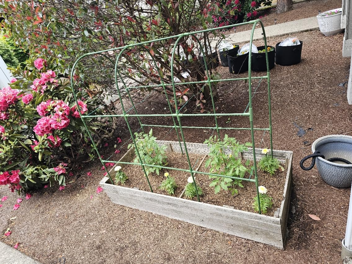 Cucumber Trellis for Raised Bed, U-Shape Garden Trellis for Climbing Plants Outdoor, Metal Arch Trellis for Vegetables, Plant Support for Tomato, Pea, Zucchini (47.2