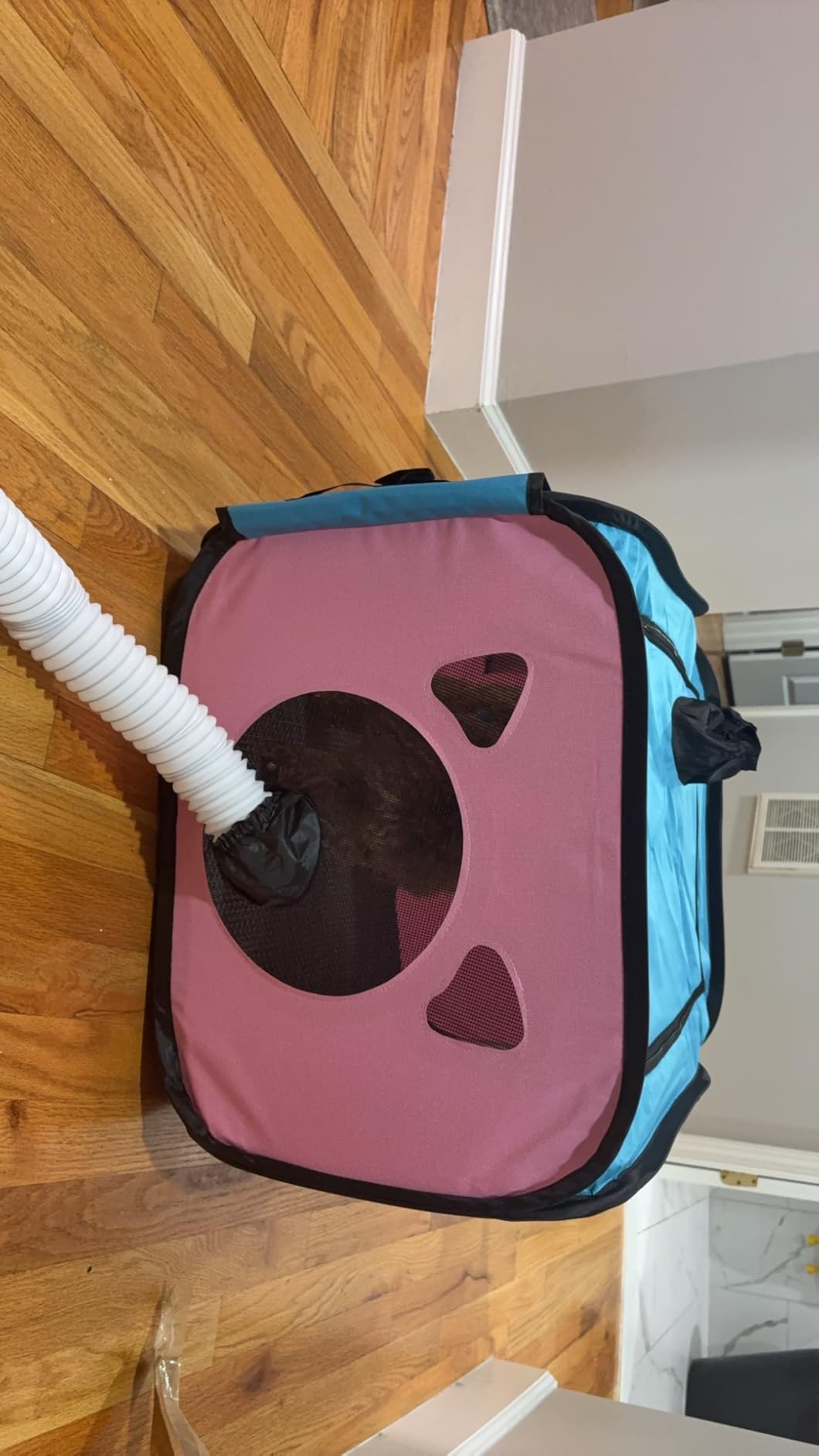 Pet Dryer with Pet Dryer Box 108L and Pad, Hands-Free, Ventilation and Circulation, Anti Hair Flying, Foldable Low Noise Ideal for Drying Cat and Dog Hair customer photo 2