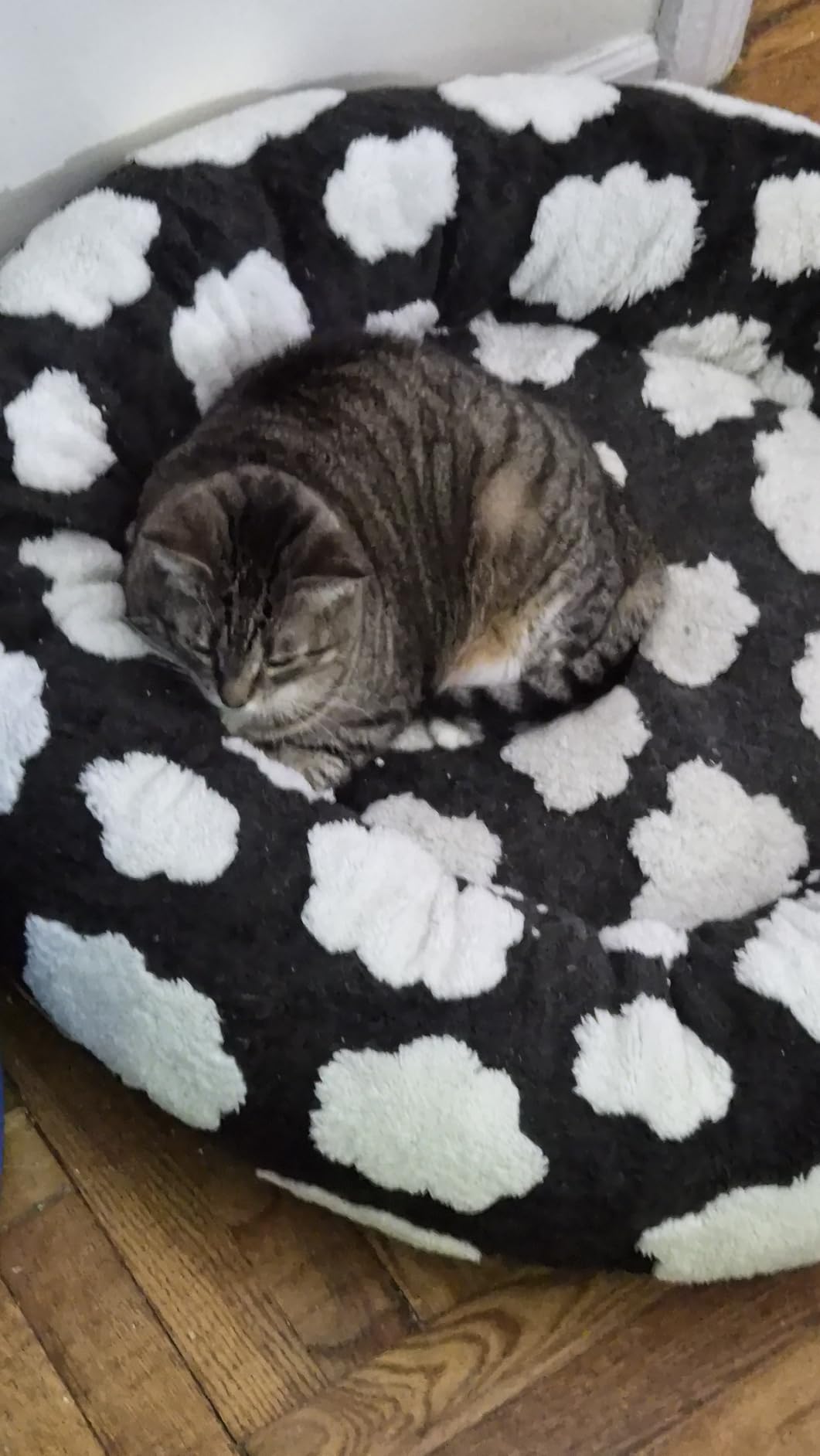 JOEJOY Donut Dog Bed Medium Size, Cute Round Calming Pet Bed with Removable Washable Cover, Orthopedic Cat Puppy Bed with Jacquard Shaggy Plush & Non Skid Bottom customer photo 1