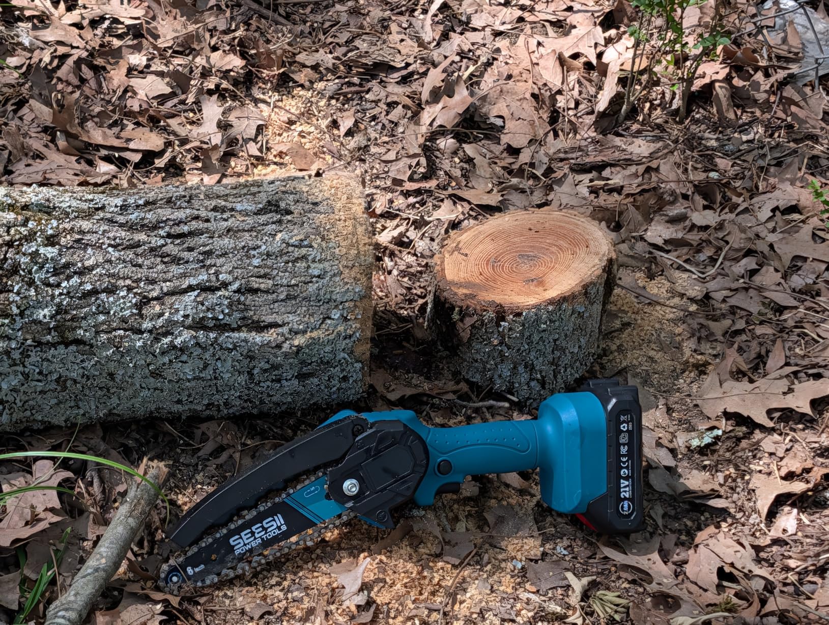 SEESII Flagship 8-Inch Cordless Mini Chainsaw, 2026 Upgraded Brushless Motor, Electric Chainsaw with 2x4000mAh Batteries, Tool-Free Chain Tension & Oiler, Handheld Saw for Fast Tree Branch Cutting customer photo 1