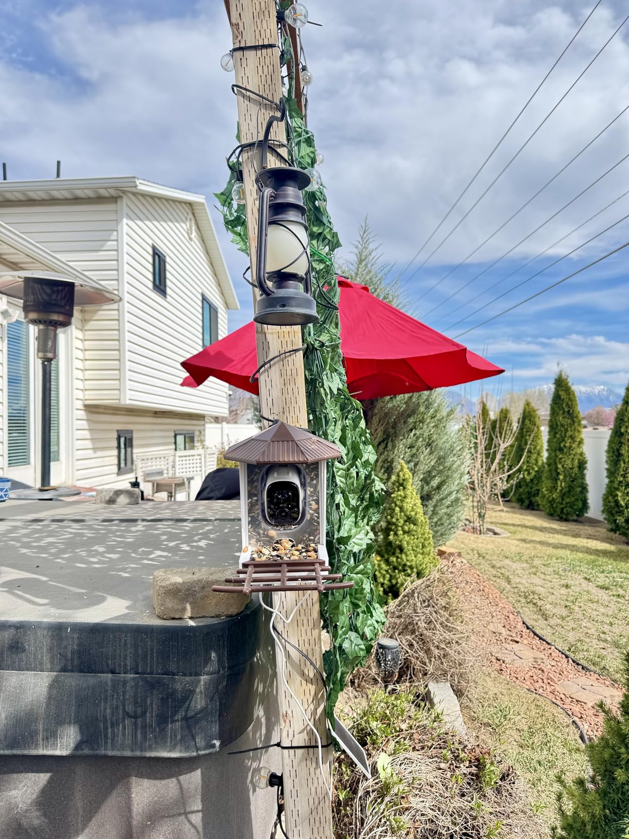 wansview Bird Feeder with Camera-Smart Bird Feeders for Outdoors Solar Powered, Birdhouse with Cam & Alert, 2K HD Live Video, AI Identify Species, Gifts for Mom & Bird Lovers, F1, Brown, 2.4G WiFi customer photo 2