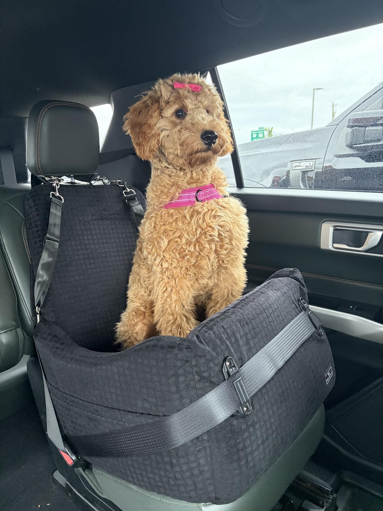 PETSFIT Dog Booster Car Seat for Small/Medium Dogs Up to 35 lbs - Patented Safety System, 5 Inch Memory Foam Pet Car Seat, Fully Detachable and Washable Cover, Front/Back Seat Travel Booster (Black) customer photo 1