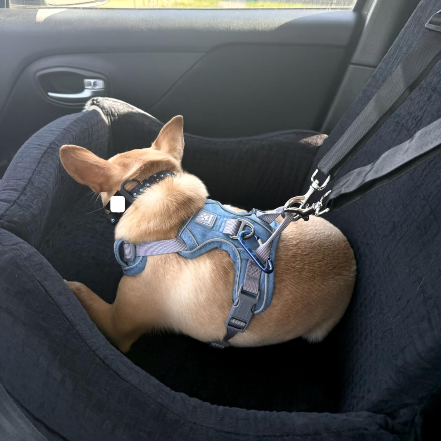 PETSFIT Dog Booster Car Seat for Small/Medium Dogs Up to 35 lbs - Patented Safety System, 5 Inch Memory Foam Pet Car Seat, Fully Detachable and Washable Cover, Front/Back Seat Travel Booster (Black) customer photo 2