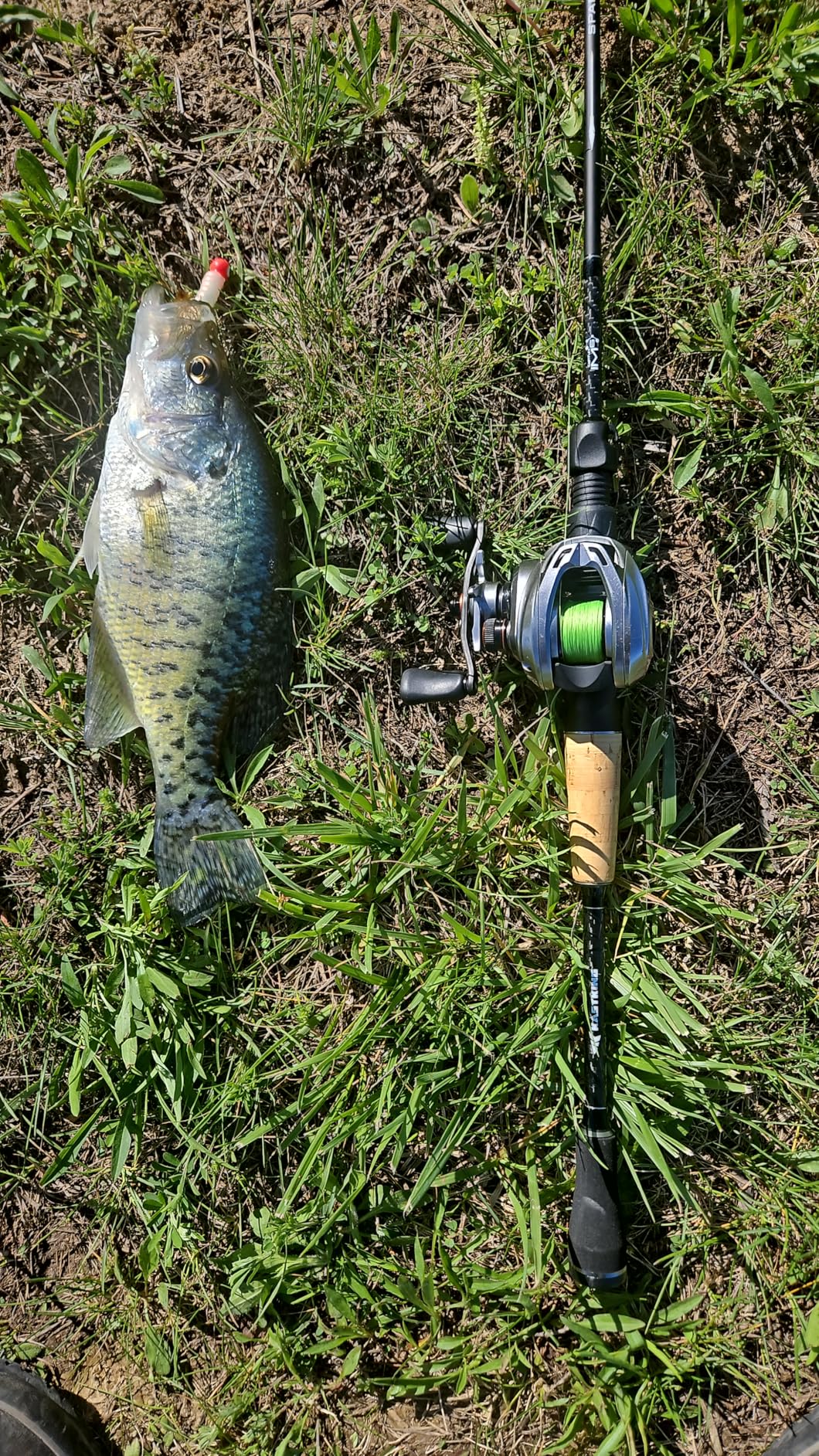 KastKing Spartacus II Plus Twin-Tip Spinning & Casting Rods, IM6 Graphite Blanks customer photo 1