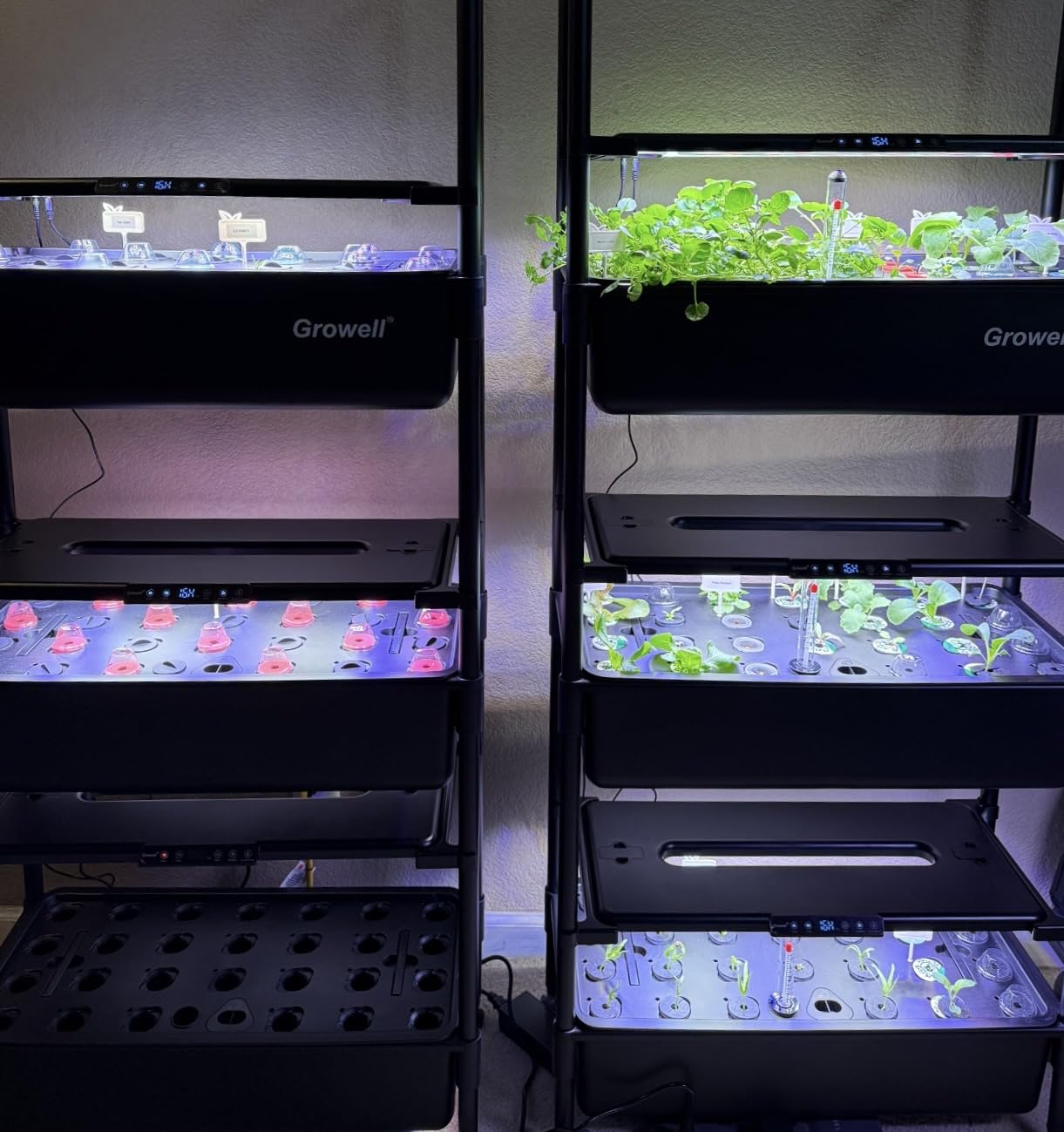 Growell Large Hydroponics Growing System Kit, Vertical Indoor Herb Garden Kit with LED Grow Light & Independent Water Pump, 42L Movable Indoor Planter Perfect Gardening Gifts (3 Tier-81 Pods, Black) customer photo 2