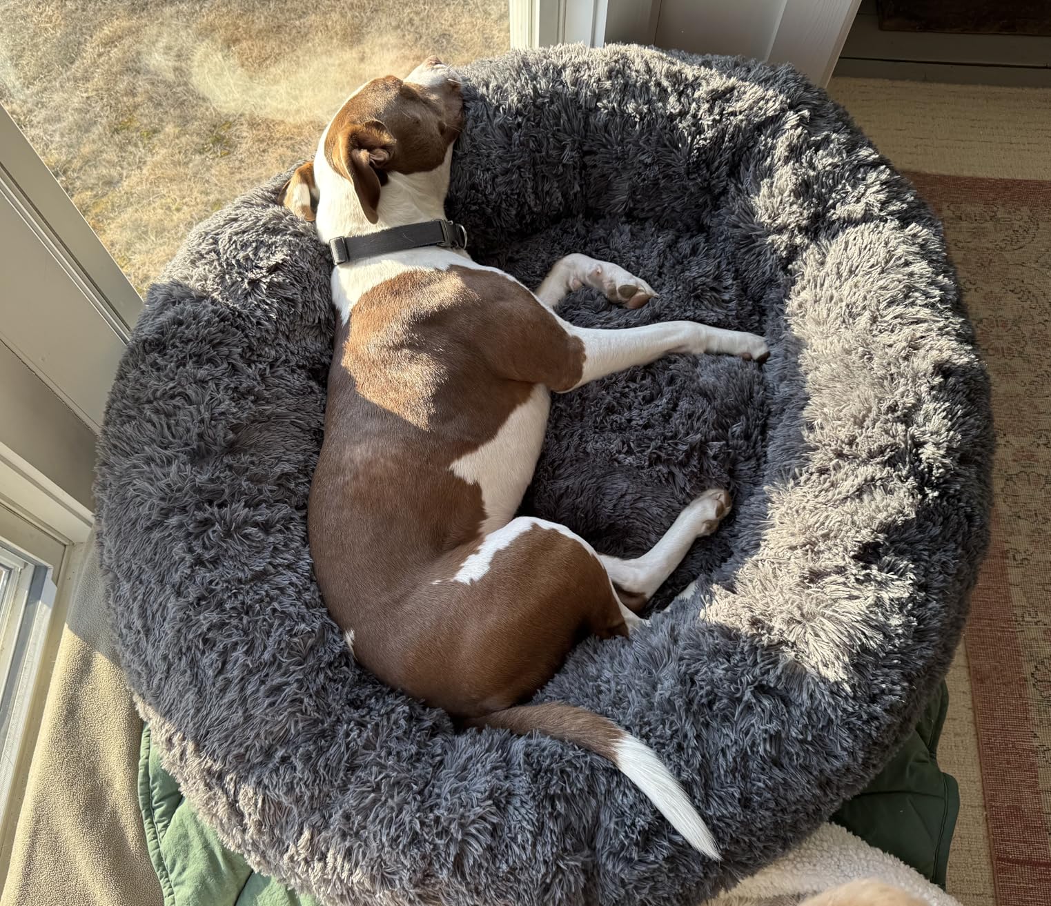 Bedsure SupportMax Calming Dog Beds Large Sized Dog - 36in Donut Washable Large Pet Bed, Anti-Slip & Removable Cover, 420GSM Round Anti-Anxiety Fluffy Plush Faux Fur Bed, Fits up to 80 lbs Pets customer photo 1