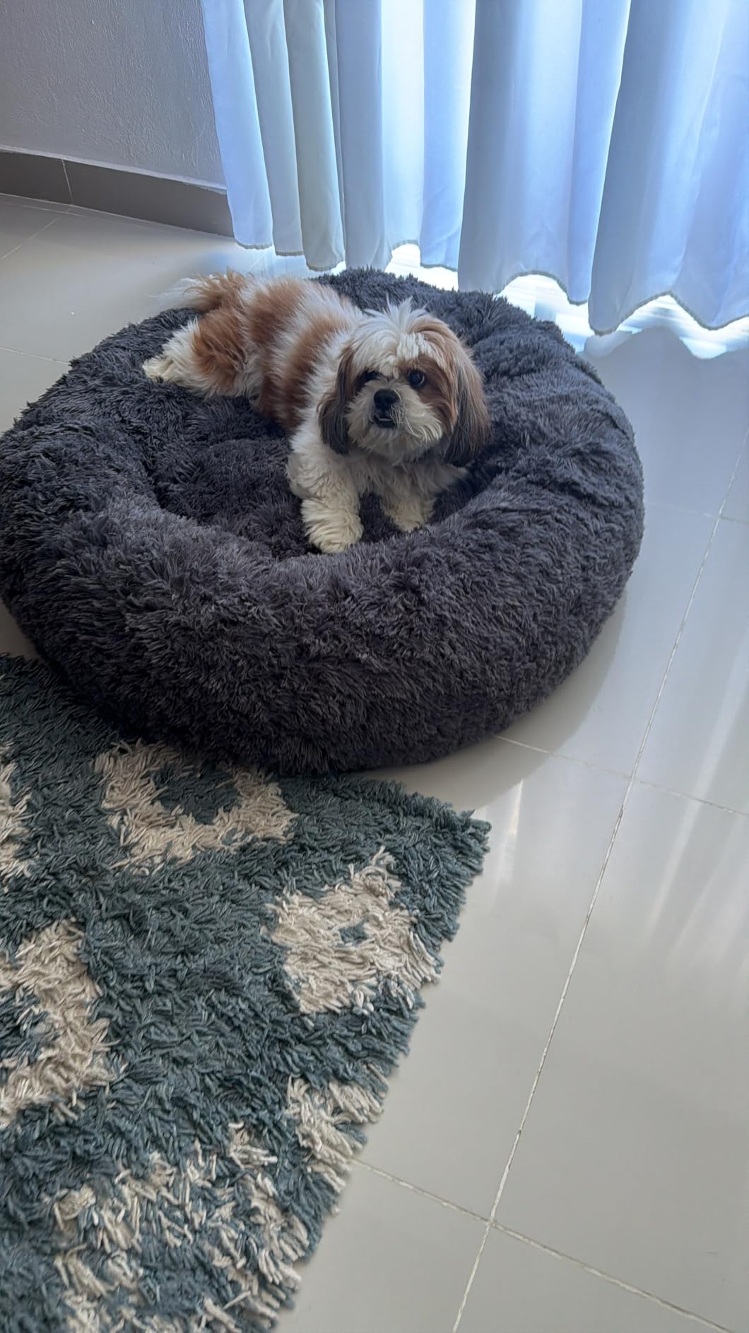 Bedsure SupportMax Calming Dog Beds Large Sized Dog - 36in Donut Washable Large Pet Bed, Anti-Slip & Removable Cover, 420GSM Round Anti-Anxiety Fluffy Plush Faux Fur Bed, Fits up to 80 lbs Pets customer photo 2