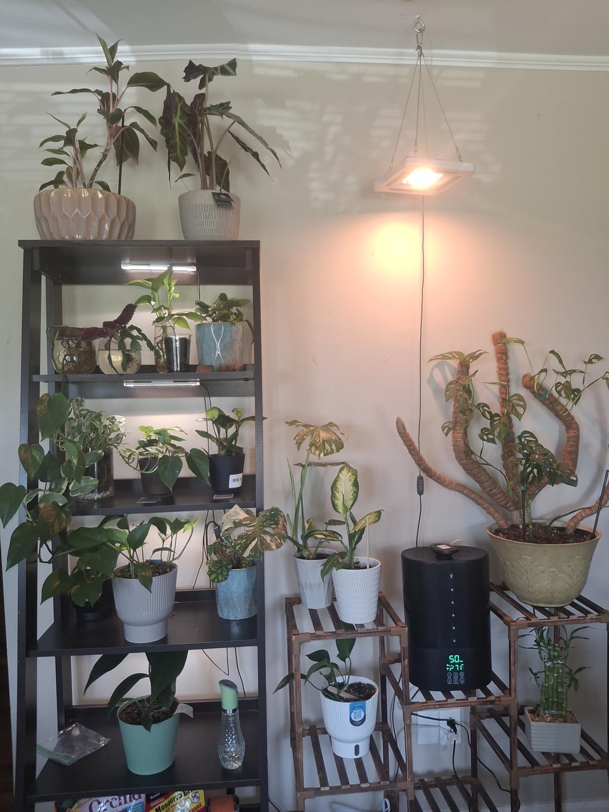 Coolfiqu 6L Humidifiers for Bedroom Large Room Home, Cool and Warm Humidifier for Baby and Plants Hot Mist Top Fill Desk Humidifiers Oil Diffuser, Quiet, Auto Mode, 360°Nozzle-Midnight Black (2026 Upgraded) customer photo 1