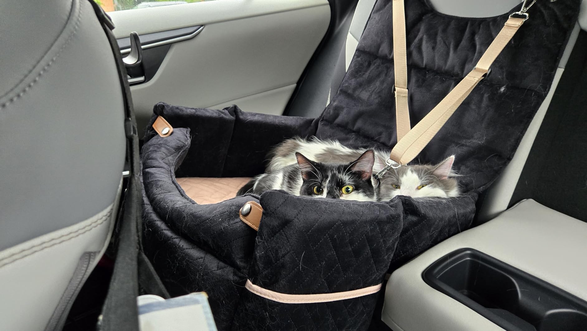 ZOMISIA Elevated Dog Car Seat for Medium Dogs, 3 Adjustable Heights with 2 Egg Crate Foam Boosters 4+2 Inch, Dual-Sided Cooling&Plush Waterproof Cover, 2 Safety Leashes & Buckles, Black customer photo 1