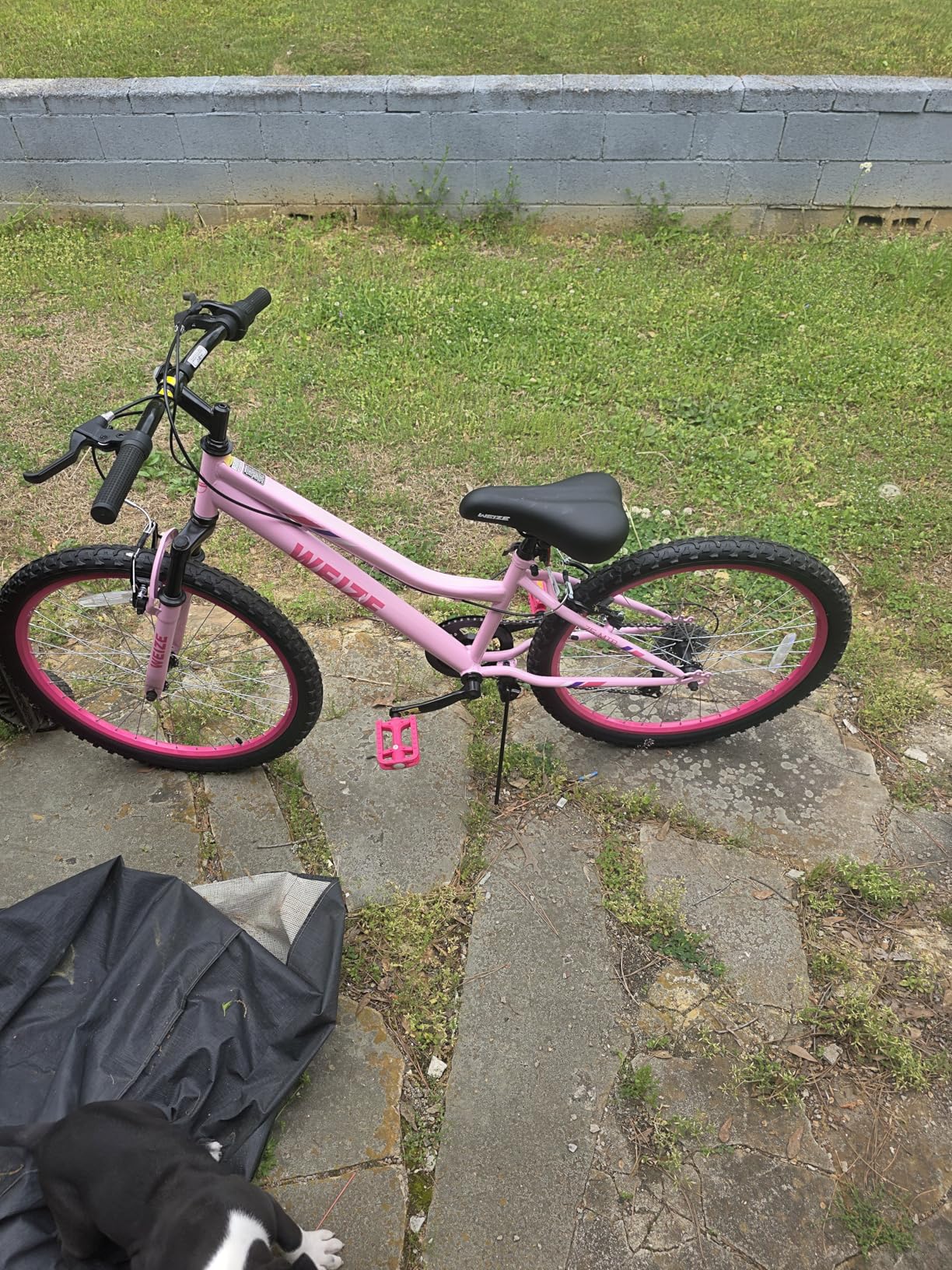 WEIZE 20/24 Inch Kids Mountain Bike, Kids Bike for Girls Age 6-14 Year Old, 6 Speed Kid Bicycle with Front Suspension Fork, Adjustable Seat Height, High-Carbon Steel Frame, Ideal for Girl Adventurers customer photo 1