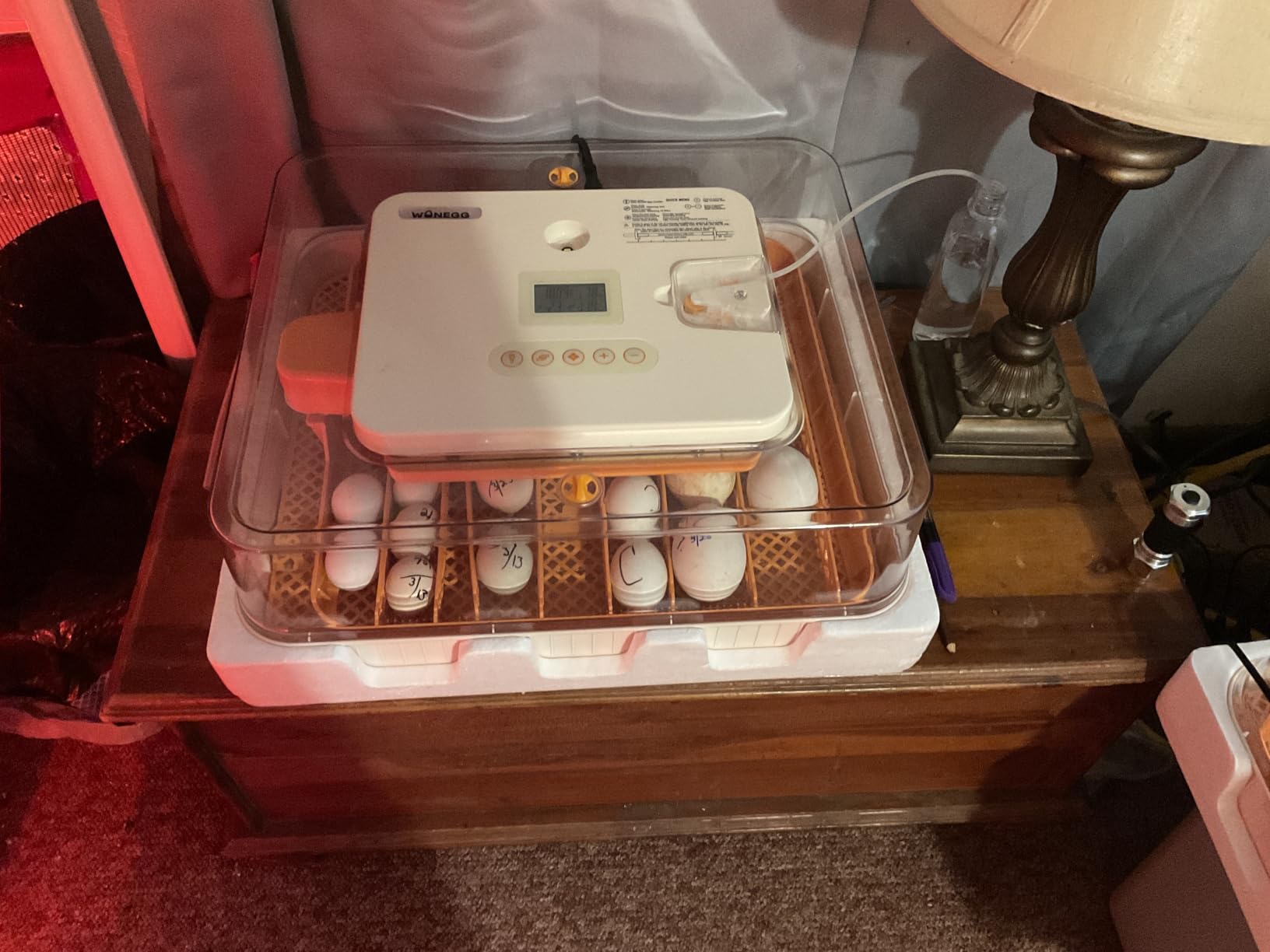 Incubator for Hatching Eggs, 56 Eggs Incubator with Automatic Egg Turning, Temperature & Humidity Control, LED Egg Candler, Incubation Days Display, for Chicken, Duck, Goose, Quail, Parrot Bird Eggs customer photo 2
