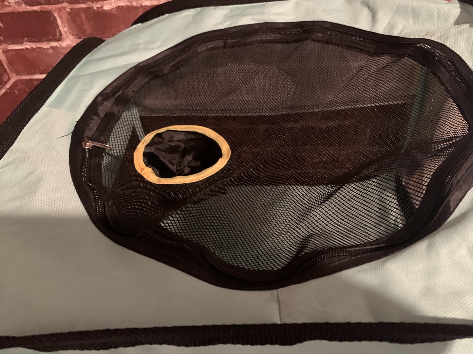 Cat Dryer, 20.5 x 15.7 x 20.5 Inch Foldable Pet Dryer Box, Prevents Post-Bath Fur Scattering, Scratching and Biting Owner, for Cats and Small to Medium Dogs (Green) customer photo 2