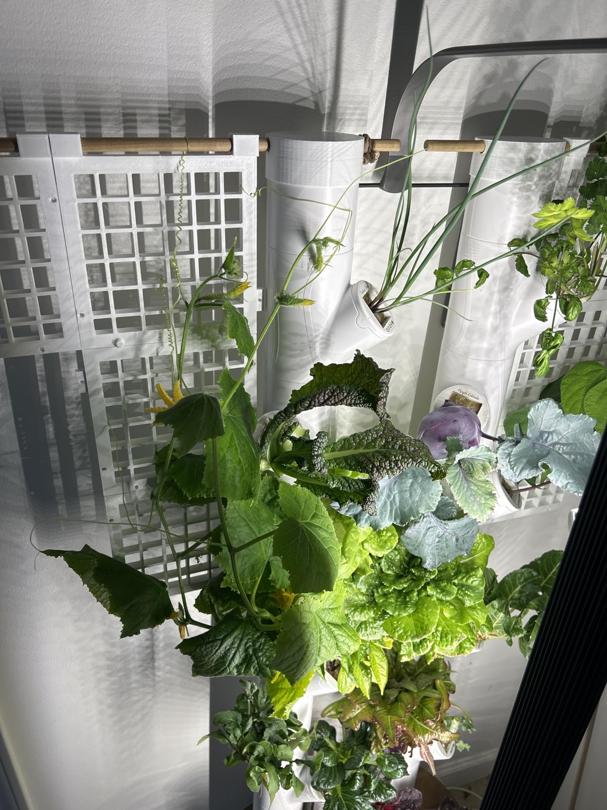 Gardyn Studio 2 Hydroponics Growing System - 16 Non-GMO Plants, Herbs, Vegetables - Smart Tower - Hydroponic Herb Garden Planter Indoor Kit - Indoor Gardening System w/Grow Lights customer photo 1