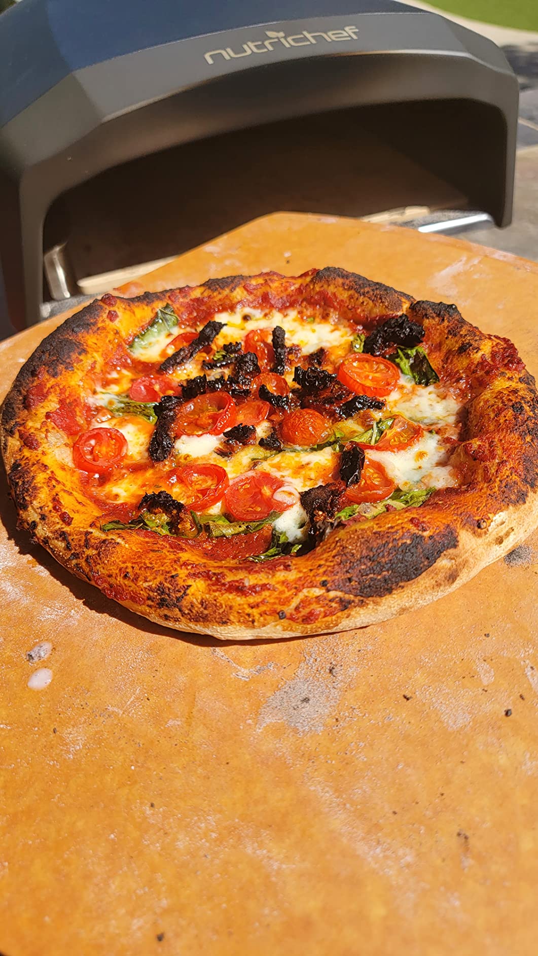 NutriChef Portable Outdoor Gas Pizza Oven - Stainless Steel with Pizza Stone, 932°F Max customer photo 1