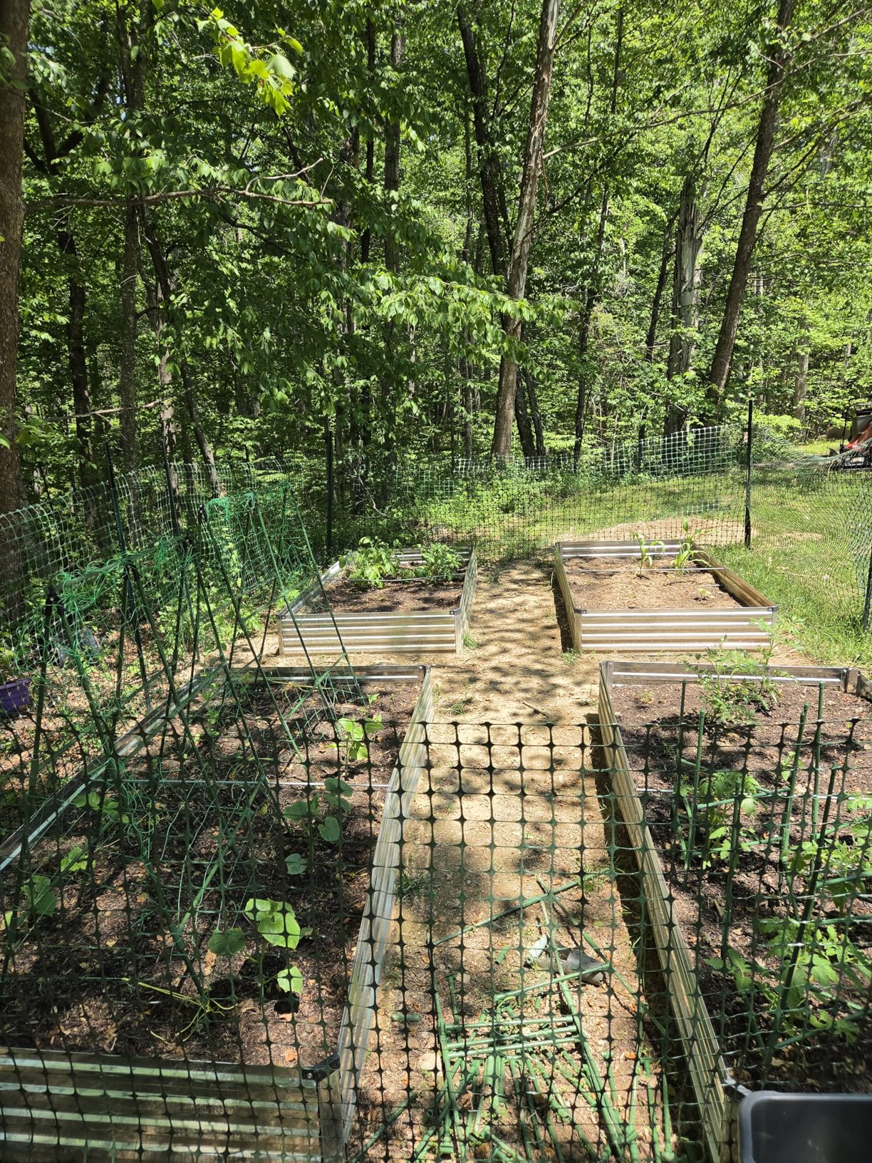 2 Pack Cucumber Trellis, 34 x 48 Inch Garden Trellis for Climbing Plants Outdoor, A-Frame Vegetable Trellis for Raised Bed, Support for Tomatoes, Squash, Zucchini, Vegetables and Flowers customer photo 2