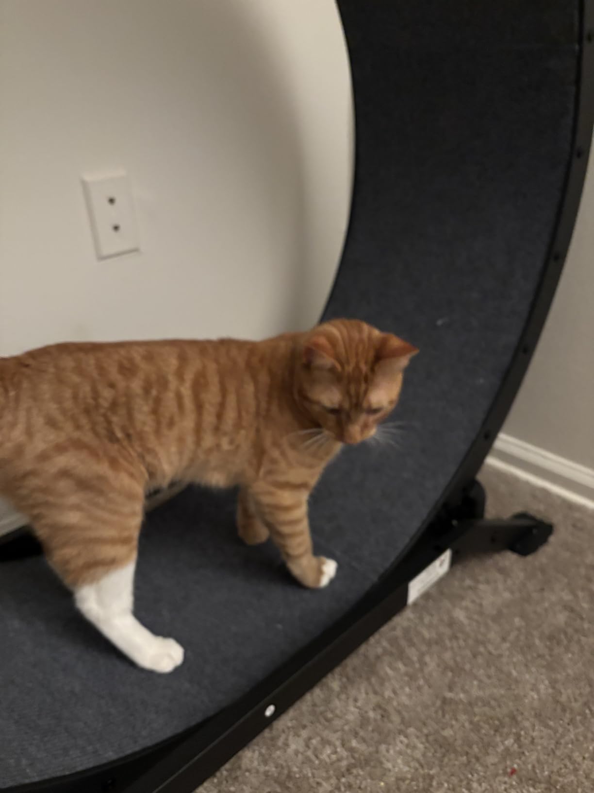 GTRACING Cat Wheels, 40