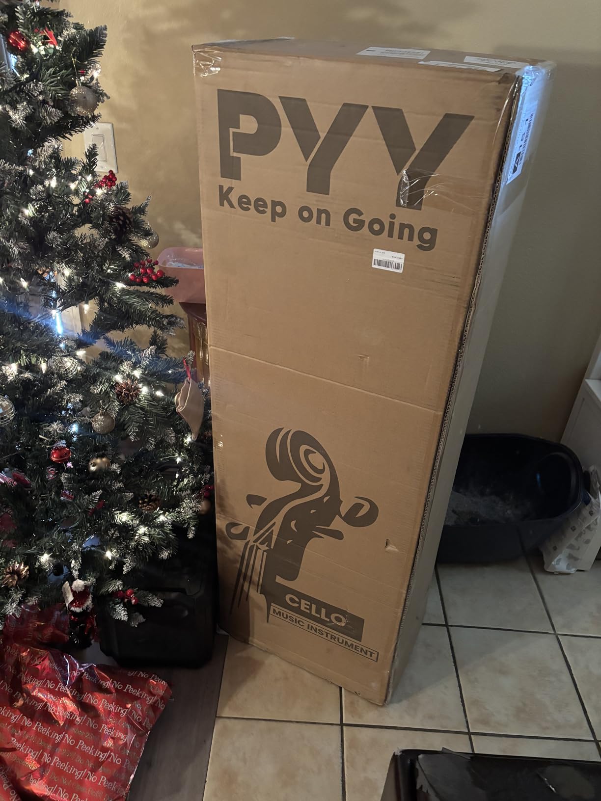PYY Cello 4/4 Full Size - Solid Wood Acoustic Cello Package with Stand, Case, Bow, Rosin, Tuner & Extra Strings customer photo 1