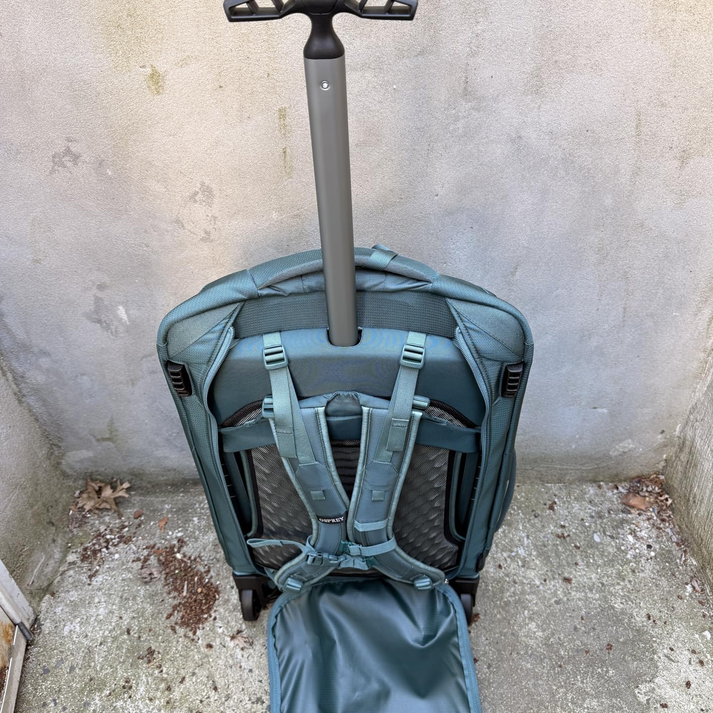 Osprey Farpoint Fairview 36L Wheeled Travel Pack - Carry On Luggage with Wheels - Rolling Backpack Travel Bag, Cascade/Torrent Blue customer photo 1