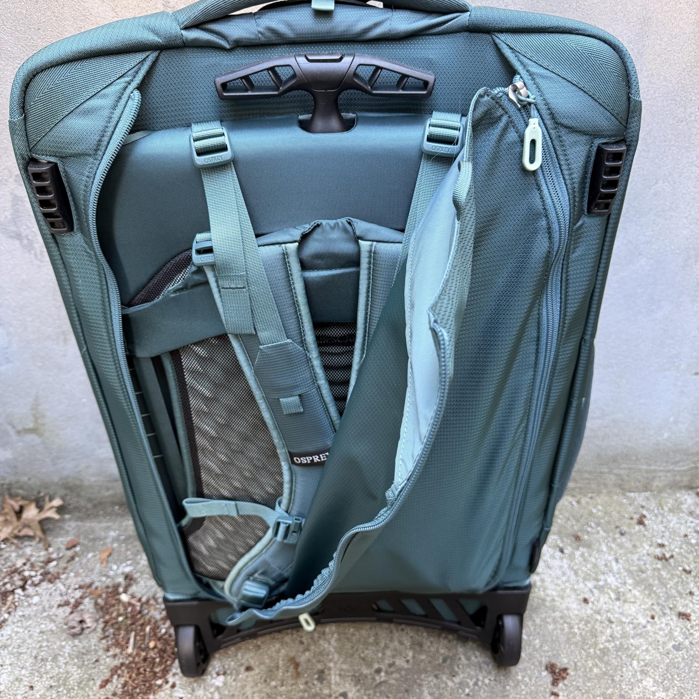 Osprey Farpoint Fairview 36L Wheeled Travel Pack - Carry On Luggage with Wheels - Rolling Backpack Travel Bag, Cascade/Torrent Blue customer photo 2