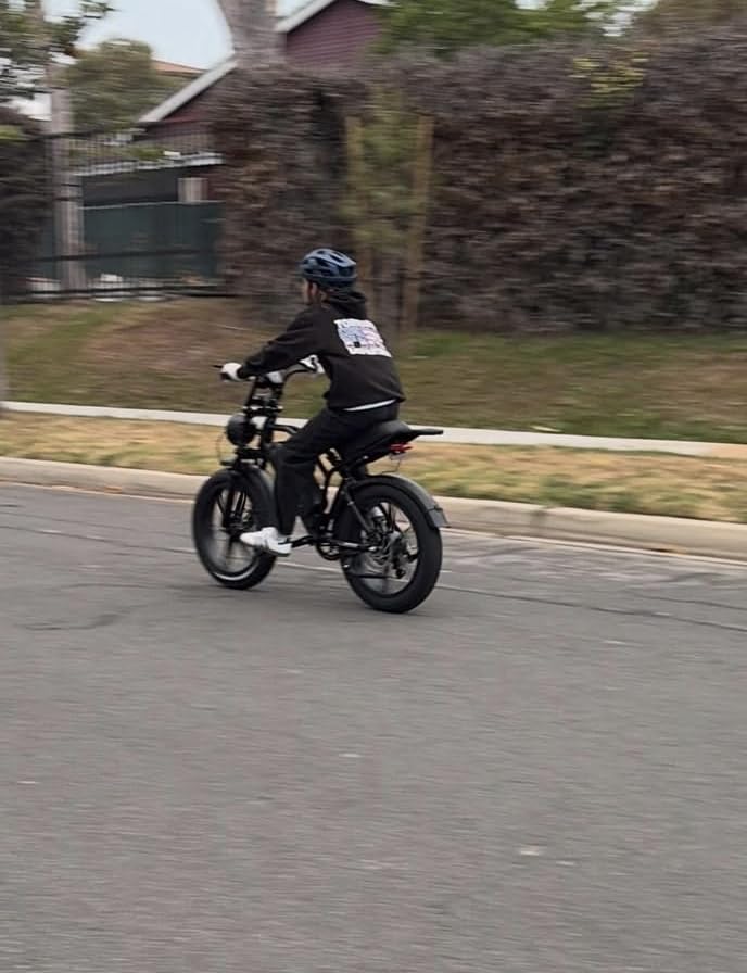 TST Electric Bike for Adults, 1500W Peak Motor 28 MPH 60 Miles Fat Tire Ebike with 48V 15Ah Removable Battery 20
